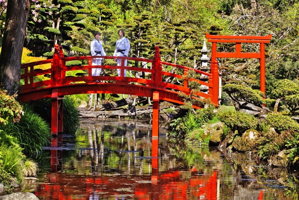 La ceinture noire, l'objectif atteint