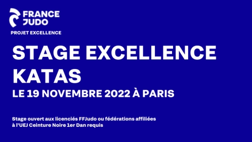 STAGE EXCELLENCE KATA : UNE JOURNÉE INTENSIVE