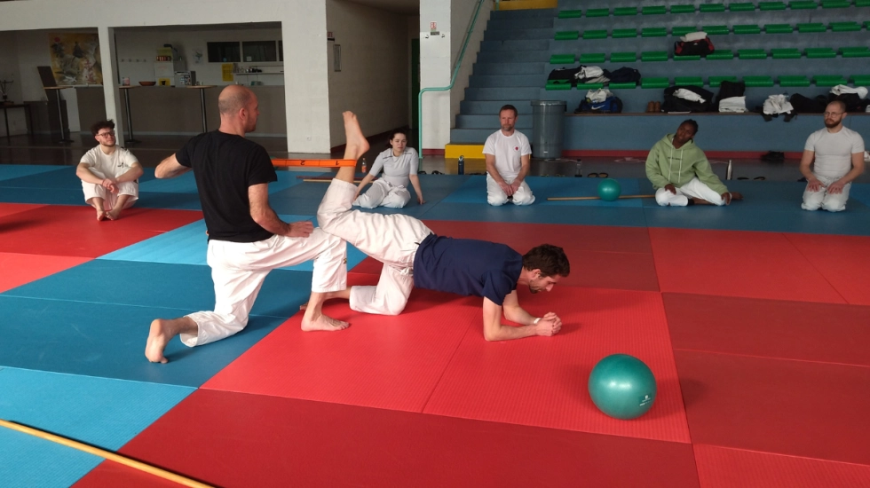 Retour sur une semaine de stages de la Dojo Academy