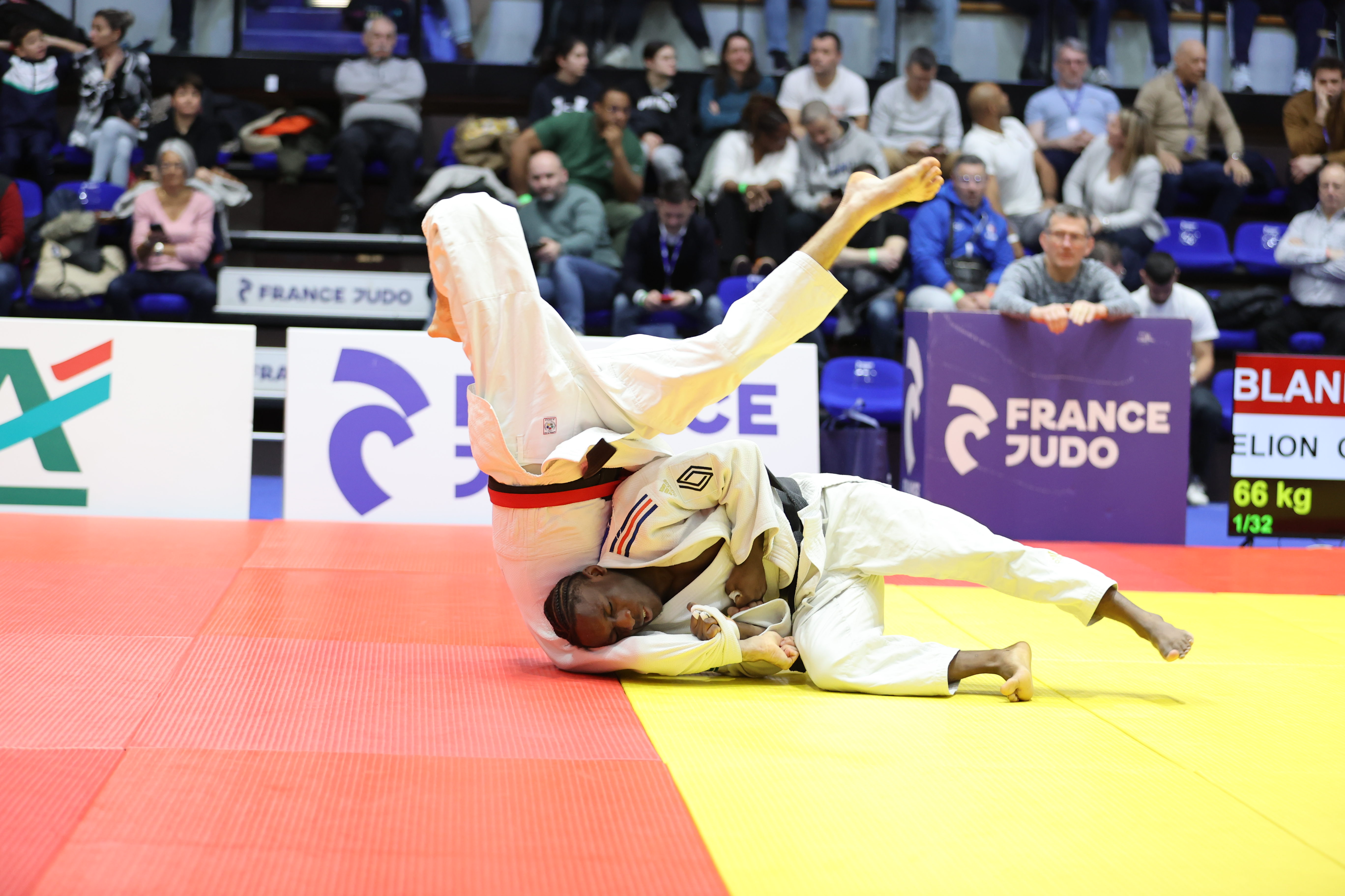 Le Duc Nice CO judo juniors 1D championship Key Questions Answered
