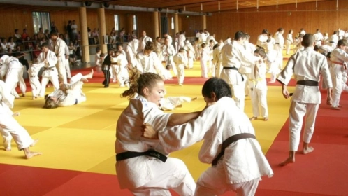 Stage de rentrée du Dojo de Paris