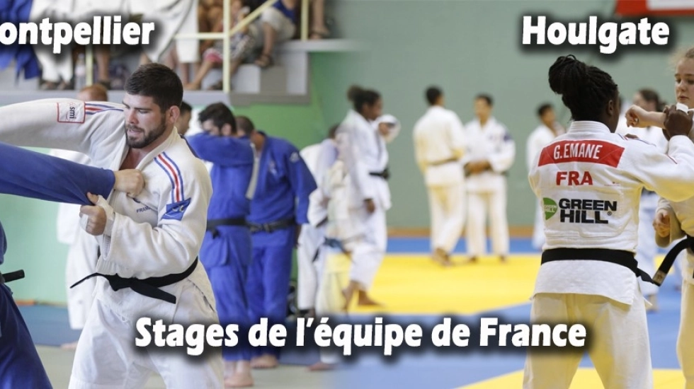 Stages équipe de France de judo à Montpellier et Houlgate