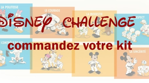COMMANDEZ VOTRE PACK ANIMATION DISNEY !