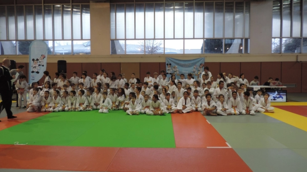 Challenge Départemental Judo Disney Tous en Forme : Comité de la Vienne