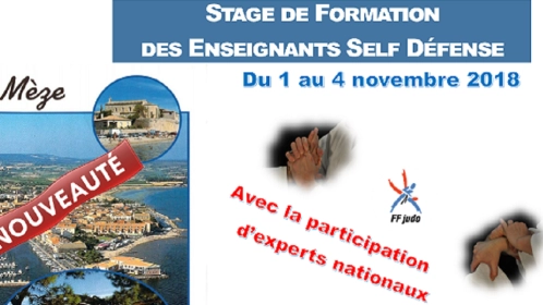 Stage de formation des enseignants - SELF-DEFENSE