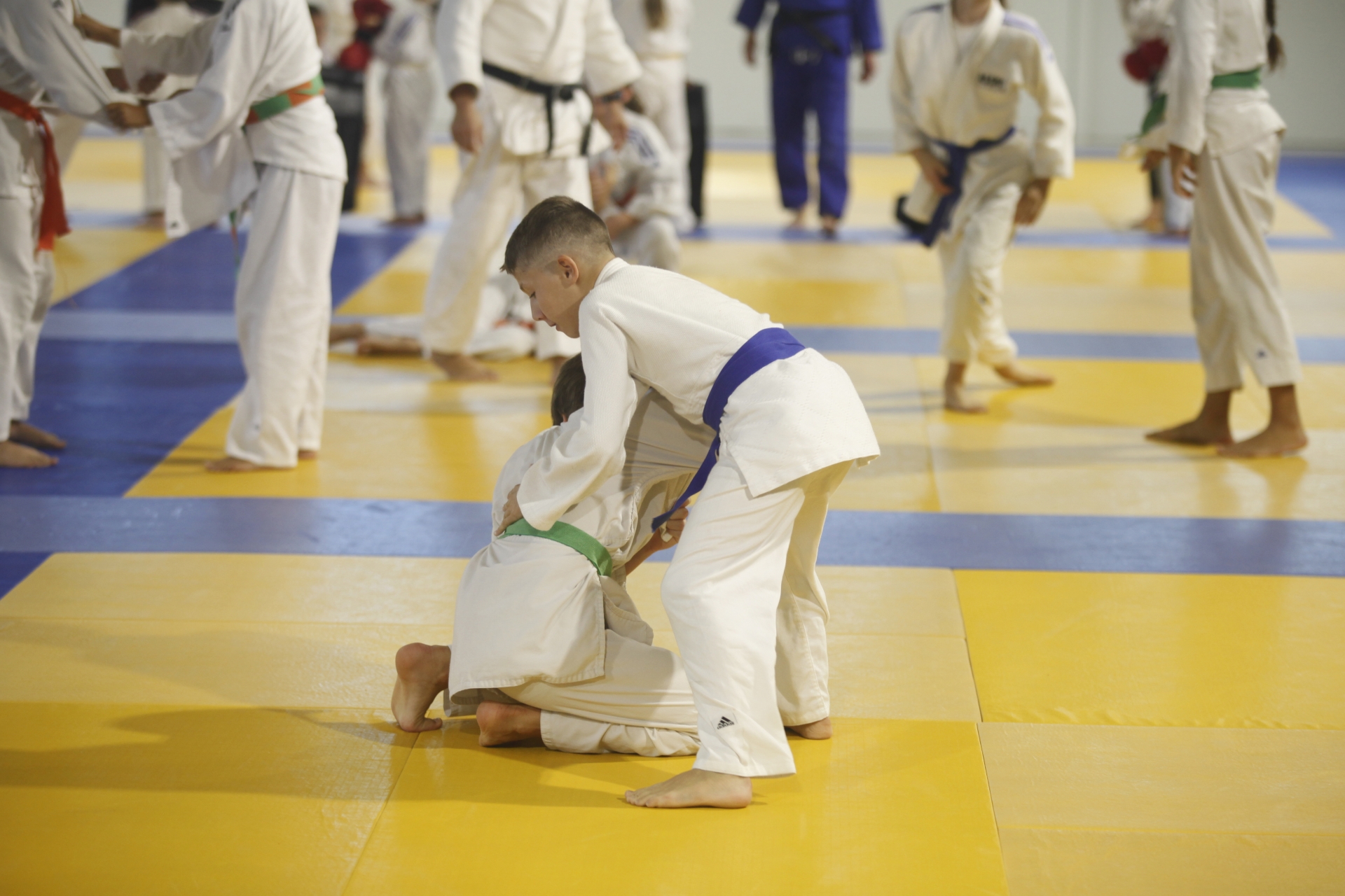 LE JUDO À L'ÉCOLE
