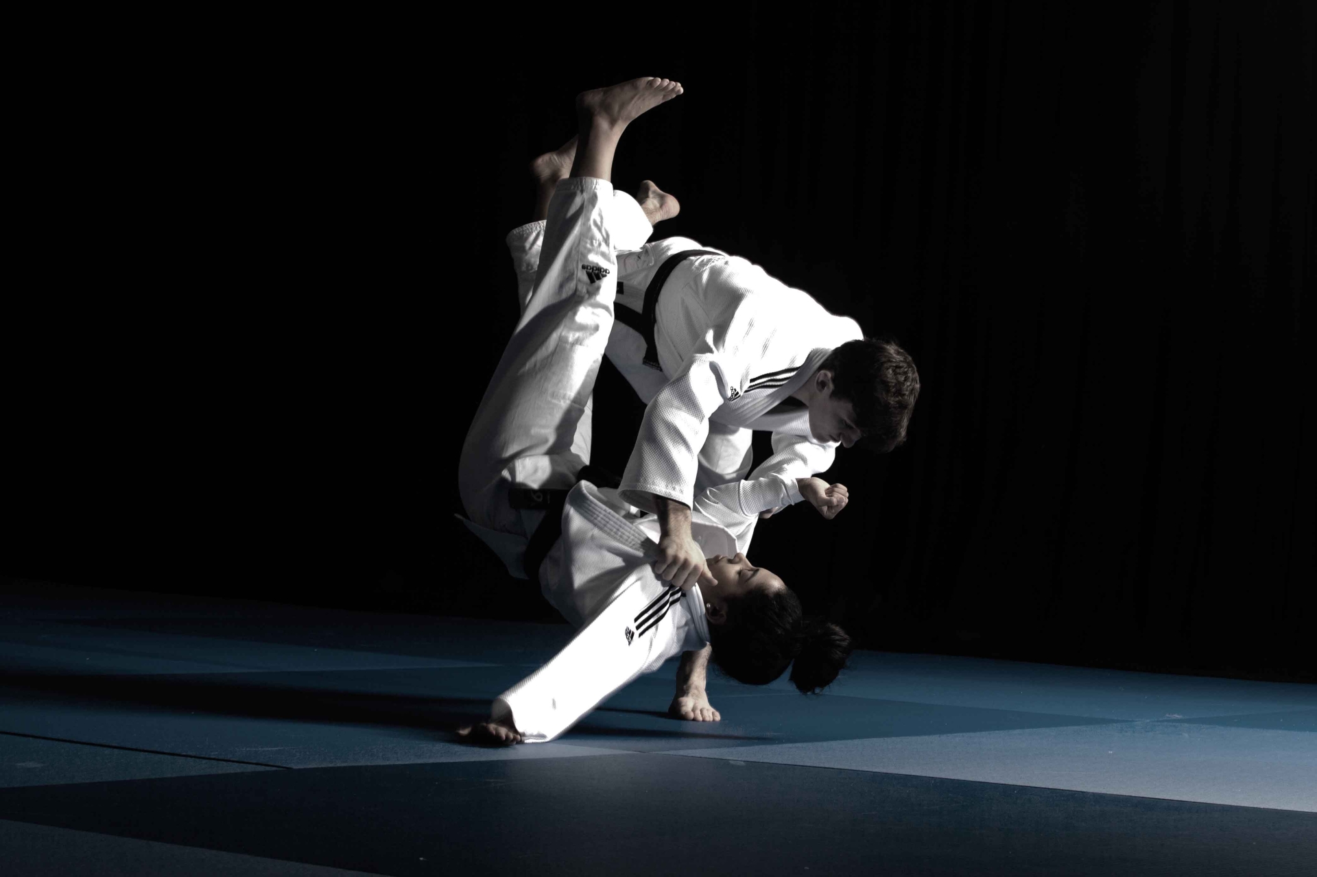 LES PRINCIPES DU JUDO