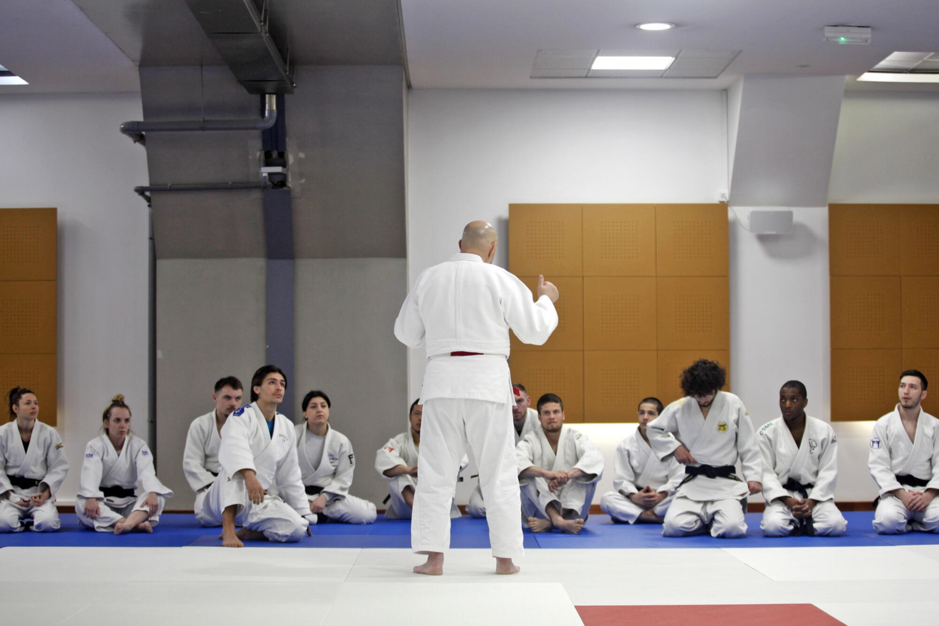 DOJO ACADEMY